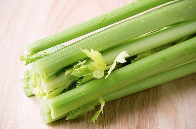 Celery_RESIZED-1